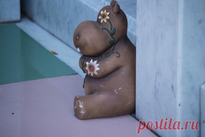 Бегемотик на кладбище: matilda_i_ja