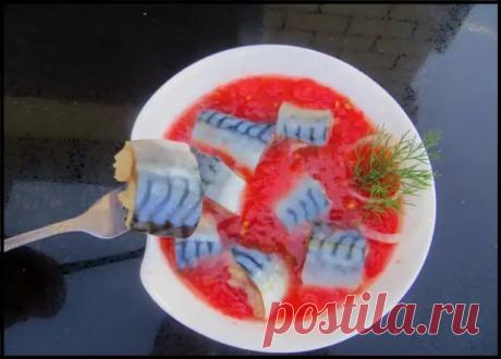 Скумбрия в томатном маринаде - невероятно вкусная рыбка за 2 часа! - Ваши любимые рецепты - медиаплатформа МирТесен