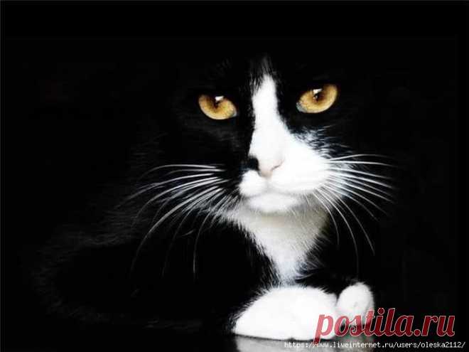 Ещё раз про любовь...