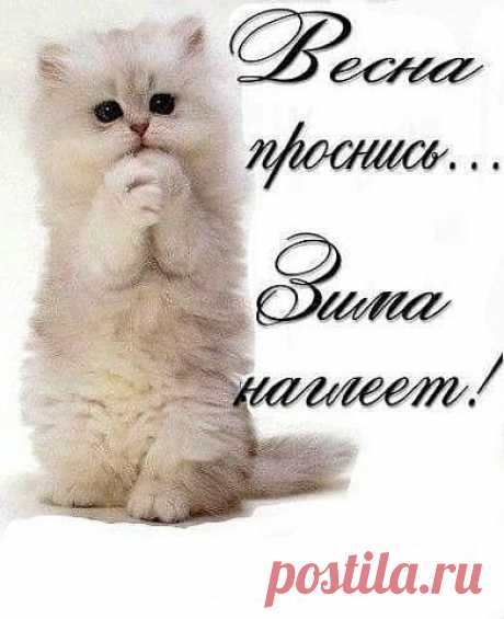 На лестничной клетке курят два соседа. У одного очень помятый вид. Другой его спрашивает: - Петя, что с тобой?! - Да, блин... Напали, избили, деньги отобрали... - Ты их запомнил хоть? - А чё их запоминать-то, жену и тещу? - Выпуск №2571