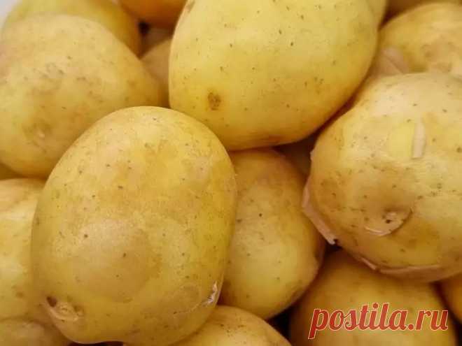 Этот дешевый продукт из магазина увеличит урожай картофеля в 2 раза. Что, если мы скажем, что секрет мешков картофеля с одной сотки прячется… в вашей кухне?