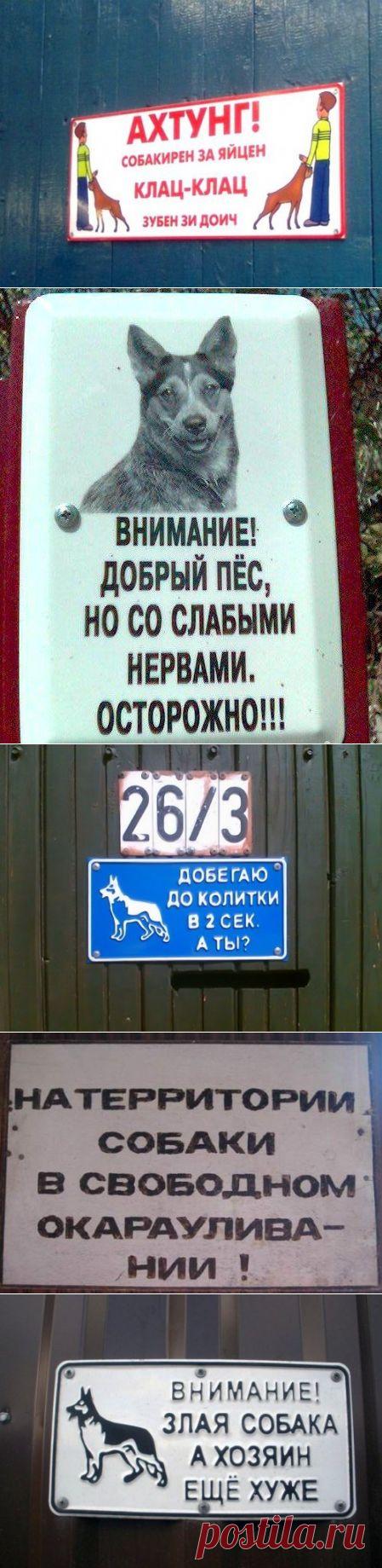 Смешные и забавные таблички-предупреждения о собаках во дворе (17 фото)