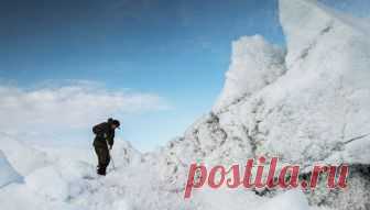 Российские ученые обнаружили в Арктике отпечатки листьев платана и бука Ученые Института нефтегазовой геологии и геофизики СО РАН на острове Сардах за полярным кругом впервые обнаружили в породах неогена (второго периода кайнозойской эры), четкие РИА Новости, 05.12.2018