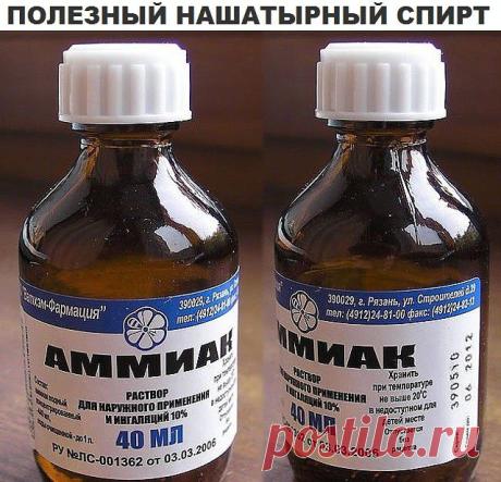 (24) Одноклассники