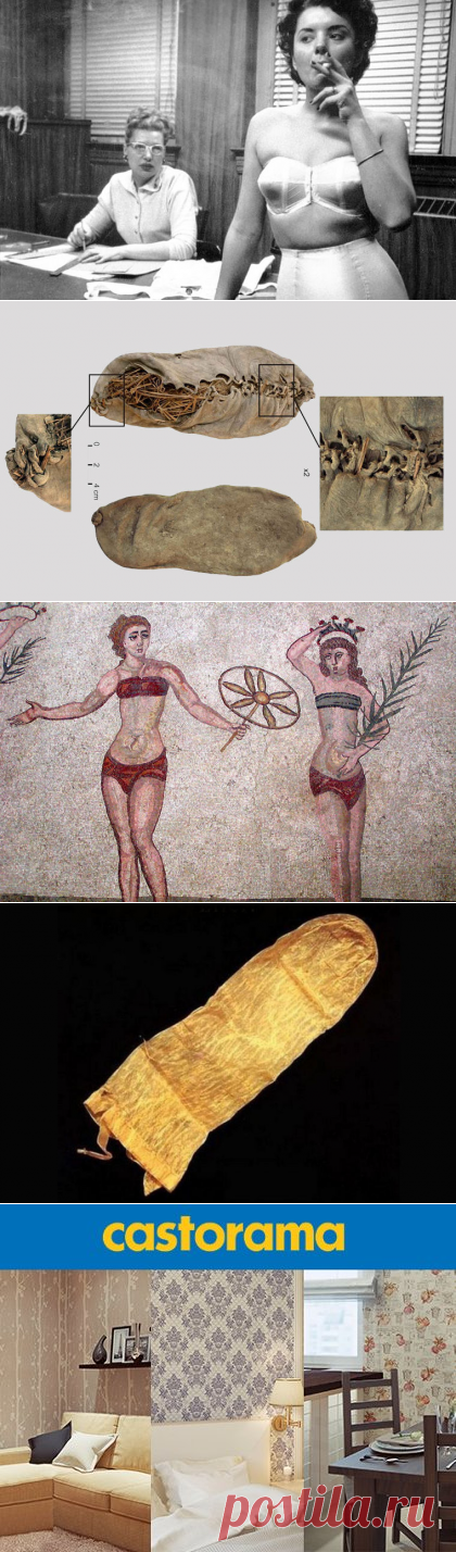 Гости из прошлого / Моя Планета