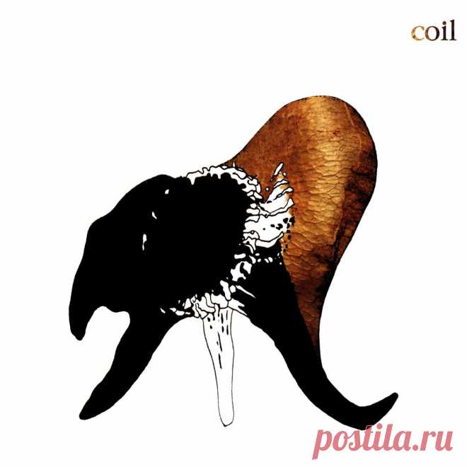 Coil - Black Antlers (2025) 320kbps / FLAC