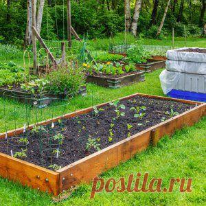 Усадьба | Огородник : Как сделать теплые грядки?