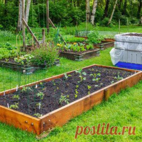 Усадьба | Огородник : Как сделать теплые грядки?