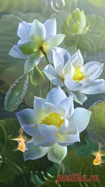 Пин на доске Flowers & Fruits 🌺🌻🌹🍋🍍🍎