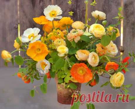 флористика