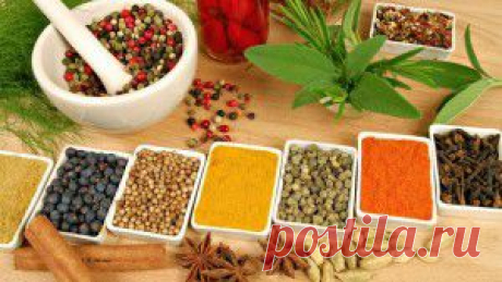 Шизофрения хунты Украины переходит и на обычное население.