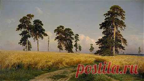 Постеры, картины, репродукции, фотографии
