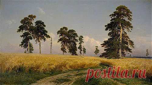 Постеры, картины, репродукции, фотографии