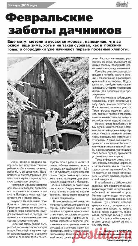 Февральские заботы дачников