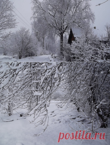 Суббота, 16 декабря. В этот день, семьсот восемьдесят лет назад, в 1237 году началась осада Рязани войсками Батыя. Рязанцы самоотверженно сражались в течении пяти дней, но в ночь на 21 декабря город пал.

В 1773 году произошло Бостонское чаепитие, положившее начало американской независимости от протектората Великобритании.  В 1809 в этот день Наполеон официально расторг брак с Жозефиной Богарне.