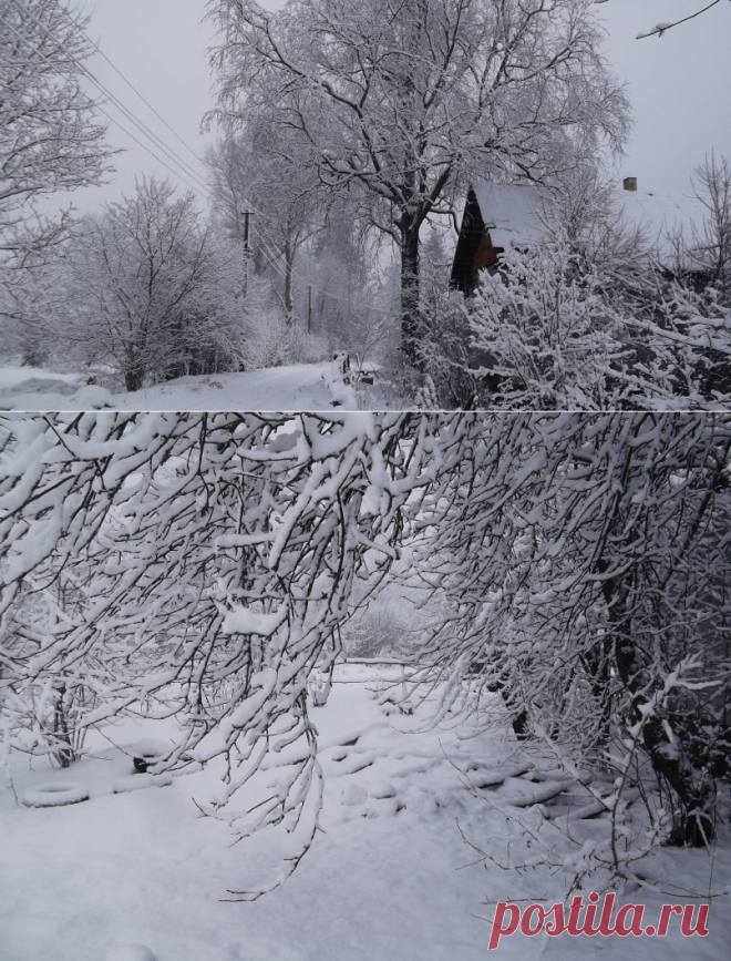 Суббота, 16 декабря. В этот день, семьсот восемьдесят лет назад, в 1237 году началась осада Рязани войсками Батыя. Рязанцы самоотверженно сражались в течении пяти дней, но в ночь на 21 декабря город пал.

В 1773 году произошло Бостонское чаепитие, положившее начало американской независимости от протектората Великобритании.  В 1809 в этот день Наполеон официально расторг брак с Жозефиной Богарне.