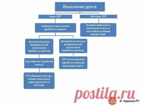 Как правильно взыскать задолженность по взносам в СНТ: приказом или иском? | Я- Адвокат.РУ | Яндекс Дзен
