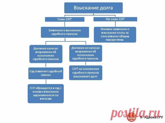 Как правильно взыскать задолженность по взносам в СНТ: приказом или иском? | Я- Адвокат.РУ | Яндекс Дзен