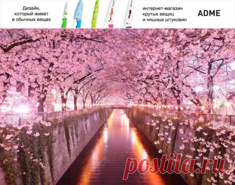 Самые красивые тоннели в мире