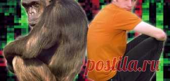 Против Дарвина: в среде биологов зреет бунт https://www.alter-science.info/ Против Дарвина: в среде биологов зреет бунт Более 1000 докторов наук со всего мира подписали «заявление несогласных»,в котором выражается скептицизм в отношении теории эволюции Дарвина...