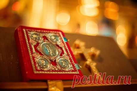 Зачем каяться, если я знаю, что снова согрешу.

Для многих верующих покаяние – это естественный и обязательный элемент духовной жизни, небесный дар и целительное средство, незаменимое в духовной брани. Не только постоянные прихожане спешат на Исповедь за вторым шансом, но и «пасхальные христиане» подсознательно чувствуют необходимость подойти раз в год к исповедальному аналою и поговорить со священником о наболевшем. 

Однако далеко не все понимают, в чем именно состоит по...