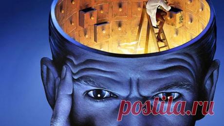 Как научиться эффективно запоминать – научный подход — The Idealist