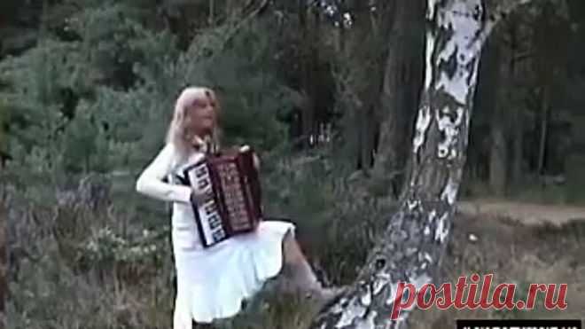 Красивая мелодия    Аккордеон