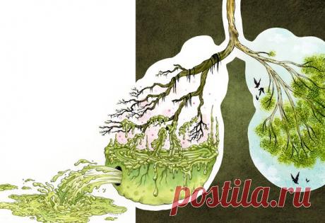 ТЕХНИКА ДЫХАНИЯ И ОЧИСТКА ЛЕГКИХ