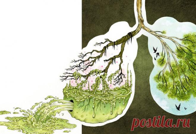 ТЕХНИКА ДЫХАНИЯ И ОЧИСТКА ЛЕГКИХ