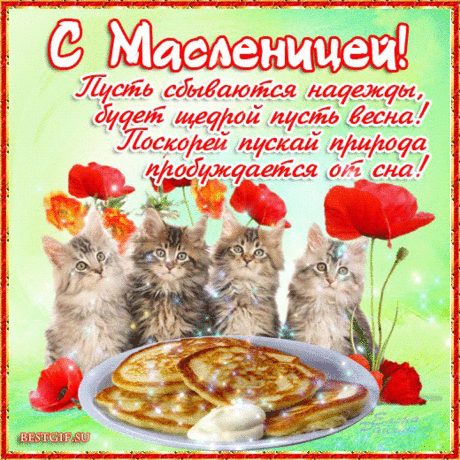 С масленицей поздравление - Масленица 2015 картинки - Анимационные блестящие картинки GIF