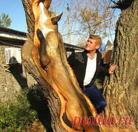 Чудо-скульптура из сухого дерева, лиса крадется к птичьему гнезду..