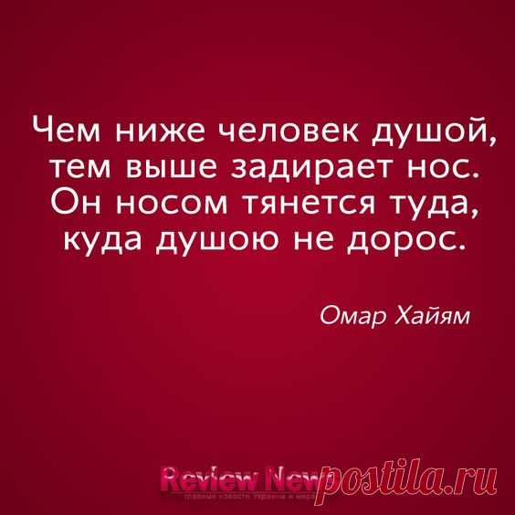 (1) Pinterest