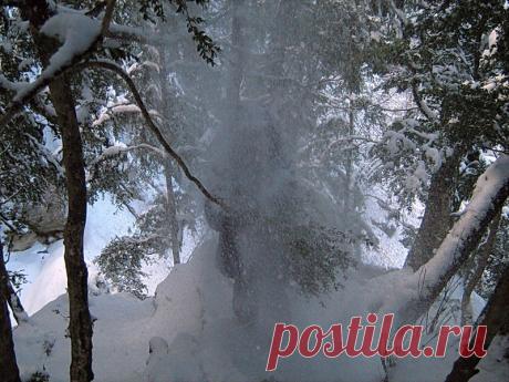 Зимушка-Зима - 1 Декабря 2017 - Персональный сайт