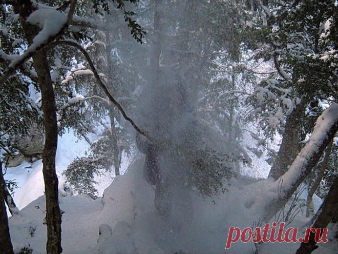 Зимушка-Зима - 1 Декабря 2017 - Персональный сайт