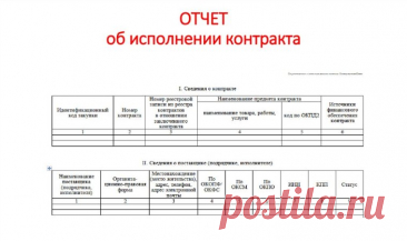 Отчет об исполнении контракта