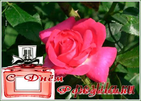 Очаровательная гиф-открытка с Днем рождения женщину - приятное и искреннее поздравление онлайн. Очаровательная гиф-открытка с Днем рождения женщину, скачать и отправить бесплатно.