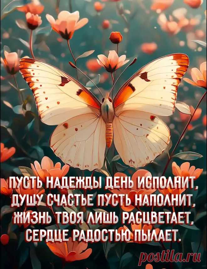 Красивая картинка доброго дня с пожеланием в стихах и бабочкой