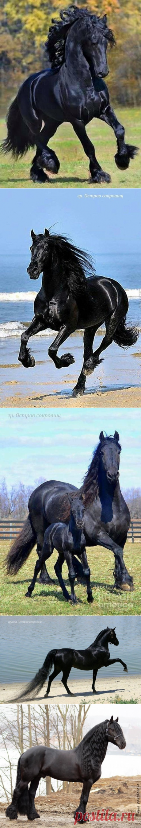 (49) Одноклассники