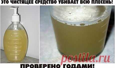 ПРОВЕРЕННОЕ СРЕДСТВО ОТ ПЛЕСЕНИ — Бесплатные поздравления