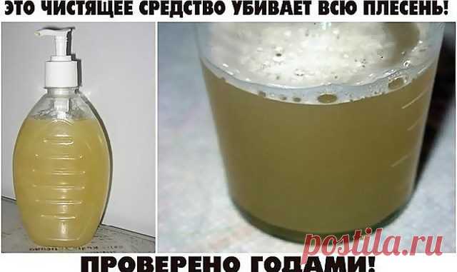 ПРОВЕРЕННОЕ СРЕДСТВО ОТ ПЛЕСЕНИ — Бесплатные поздравления