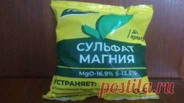 Сульфат магния для томатов: показываю из-за чего эффект сильный и уникальный | Любимая Дача. Сад и Огород | Дзен