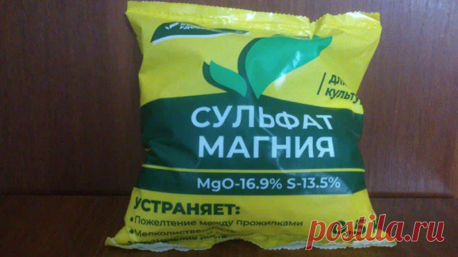 Сульфат магния для томатов: показываю из-за чего эффект сильный и уникальный | Любимая Дача. Сад и Огород | Дзен
