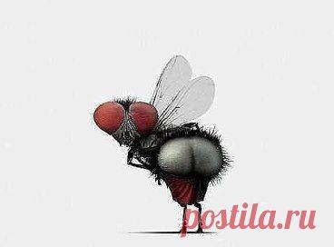 Всем сплетникам, завистникам и недоброжелателям!)))))