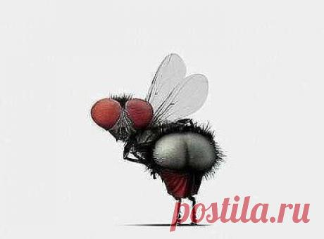 Всем сплетникам, завистникам и недоброжелателям!)))))