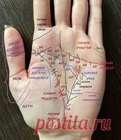 (48) Pinterest