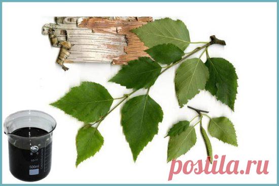 деготь березовый: применение в саду и огороде + видео
