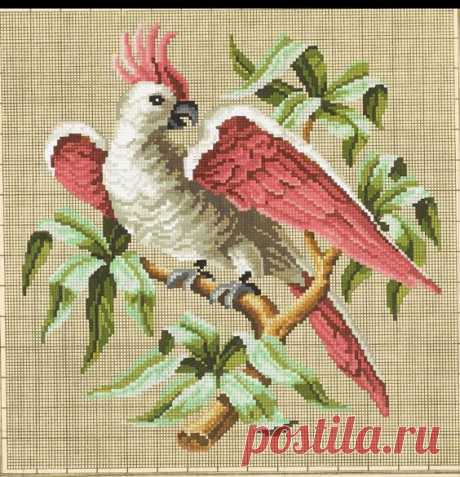 (687) Pinterest: инструмент для поиска и хранения интересных идей