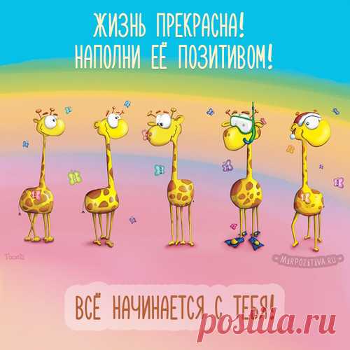 Картинки доброго дня прикольные с добрым утром мужчине