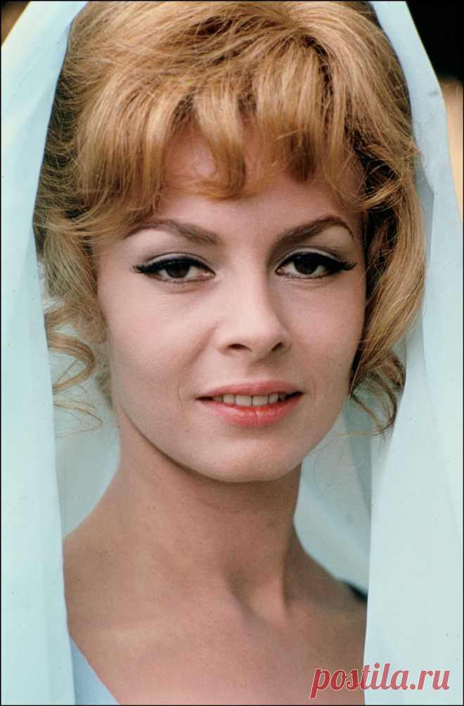 Невероятно красивая женщина, идеал женской красоты и обаяния, смотришь на нее, как на прекрасный цветок и не можешь насмотреться.

Мишель Мерсье по праву входит в десятку самых красивых женщин всех времен и народов. Сколько бы не было прекраснейших девушек в мире, таких как Мишель Мерсье больше не существует. Идеал красоты, несмотря на то, что вкусы меняются, но этот идеал остается на самом высочайшем пьедестале.