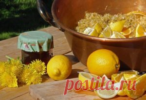Как приготовить целебное варенье из одуванчиков